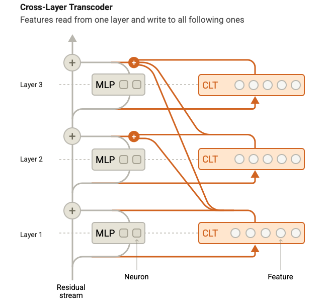 Crosscoder visualization